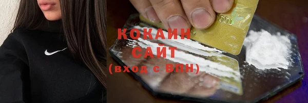 Альфа ПВП Богородицк