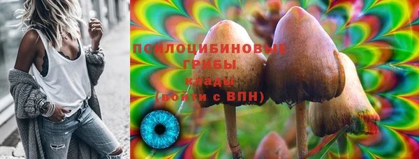 Альфа ПВП Богородицк