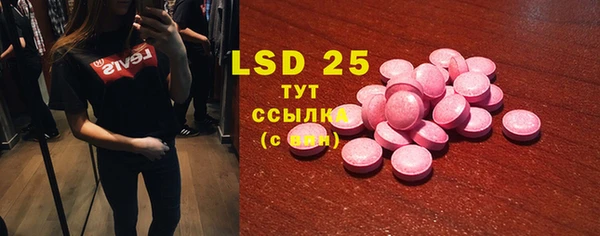 индика Приозерск