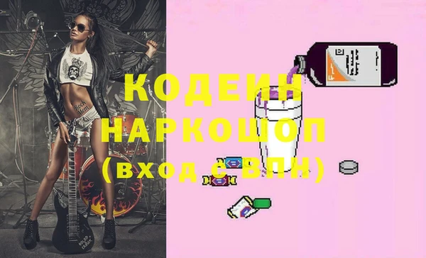 индика Приозерск