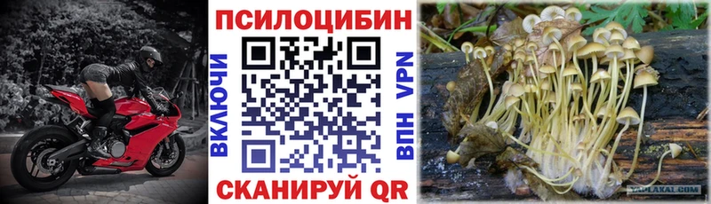 Галлюциногенные грибы мухоморы  Клинцы 